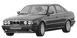 BMW E34 P3816 Fault Code